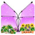 Indoor Flower Planting Dimmable LED Grow Light